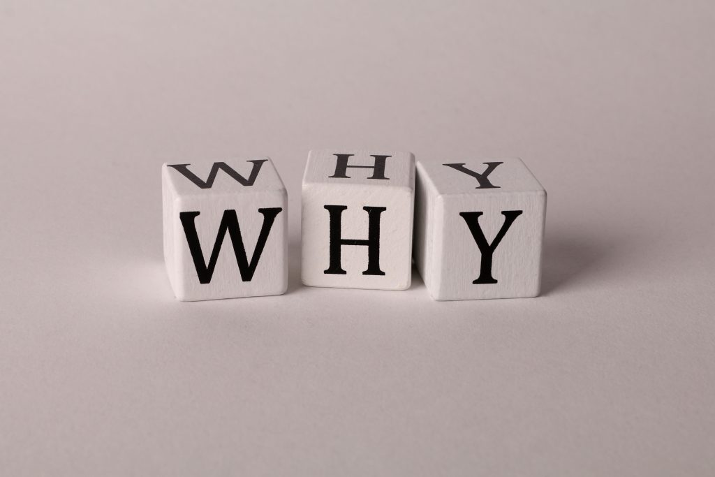 How to implement Schema correctly for both pure Code websites and WordPress websites?