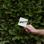 The .au namespace is about to be gutted, and almost nobody knows it’s happening.